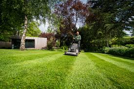 lawn mowing Preston